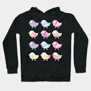 Pretty birds Hoodie